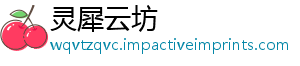灵犀云坊
